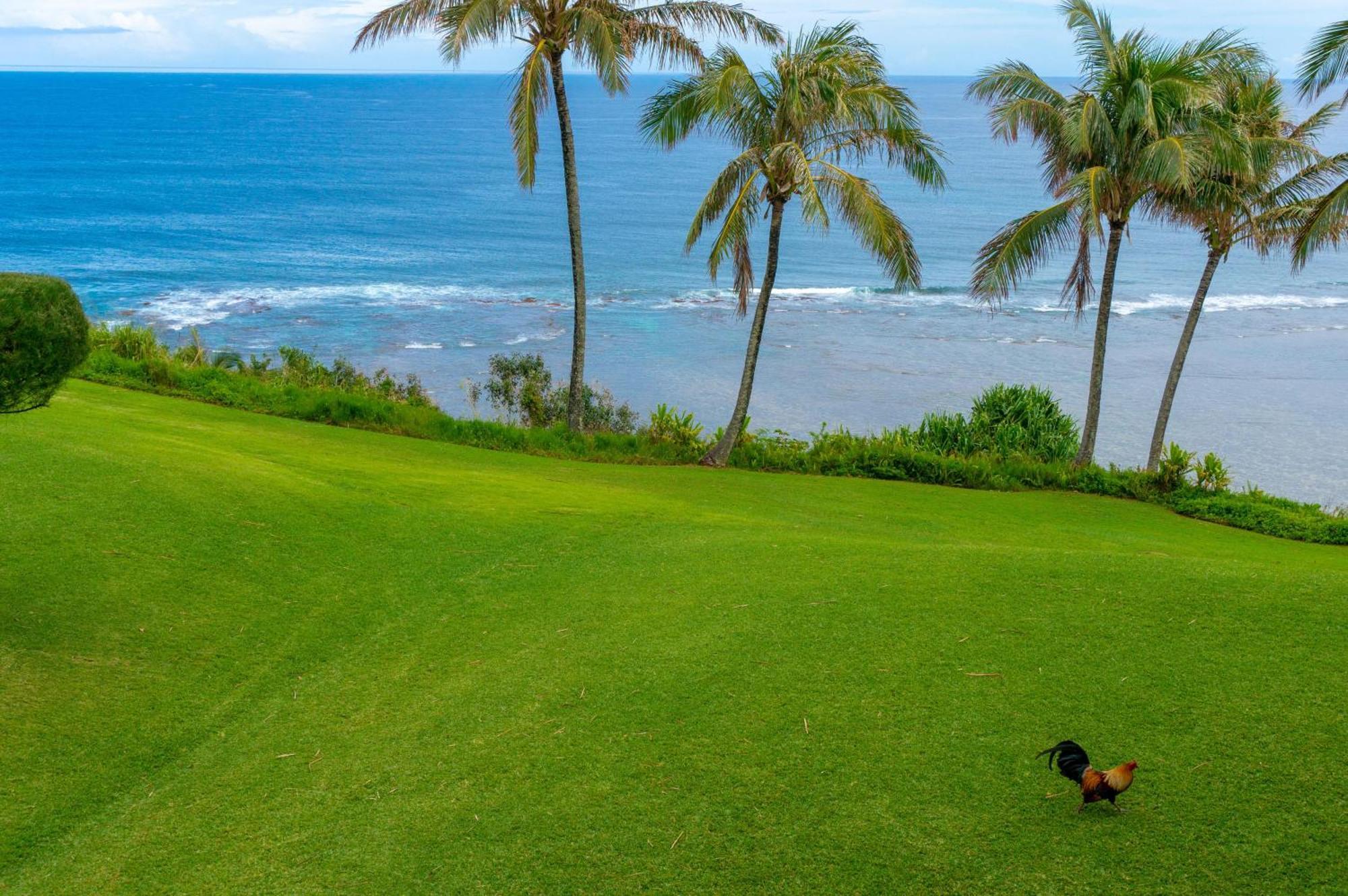 Sealodge J9 Princeville Eksteriør bilde